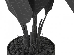 Plants collection 324 3D Model