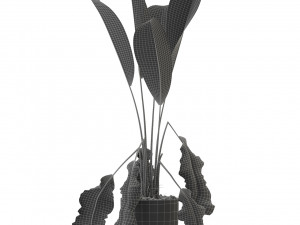 Plants collection 325 Model 3D