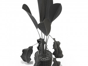 Plants collection 325 Model 3D