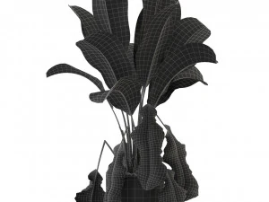Plants collection 326 3D Model
