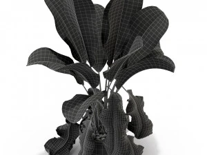 Plants collection 326 3D Model