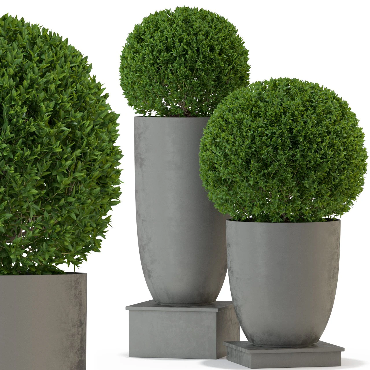 Plants collection 327 3D Model .c4d .max .obj .3ds .fbx .stl .blend