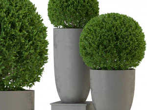 पौधों का संग्रह 327 3D मॉडल