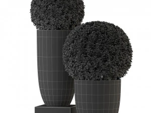 Plants collection 327 3D Model