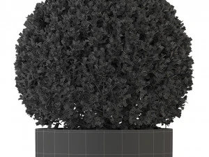 Plants collection 327 3D Model