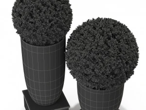 Plants collection 327 3D Model