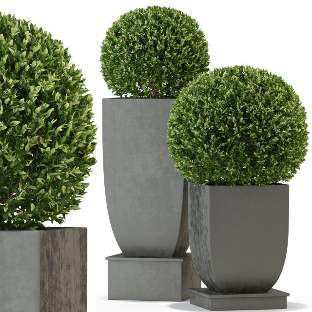 Plants collection 328 Modelo 3D .c4d .max .obj .3ds .fbx .stl .blend 