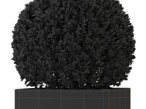 Plants collection 328 Modelo 3D