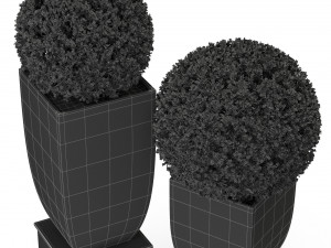Plants collection 328 Modelo 3D