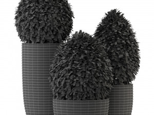 Plants collection 329 3D Model