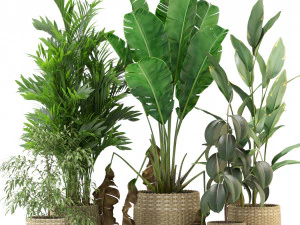 Коллекция растений 330 3D Модель