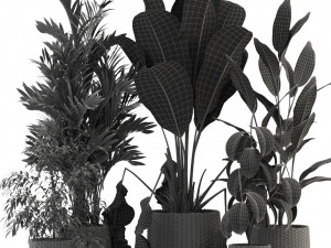 Plants collection 330 3D Model