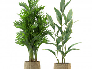 Plants collection 330 3D Model