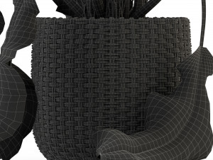 Plants collection 330 3D Model