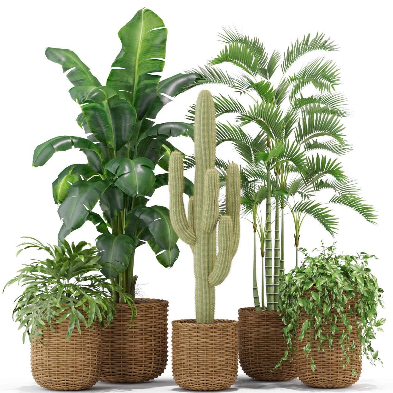 Plants collection 331 3D Model .c4d .max .obj .3ds .fbx .stl .blend 