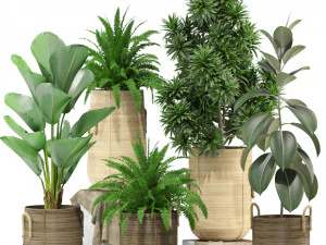 Коллекция растений 332 3D Модель