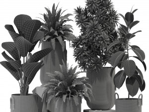 Plants collection 332 3D मॉडल