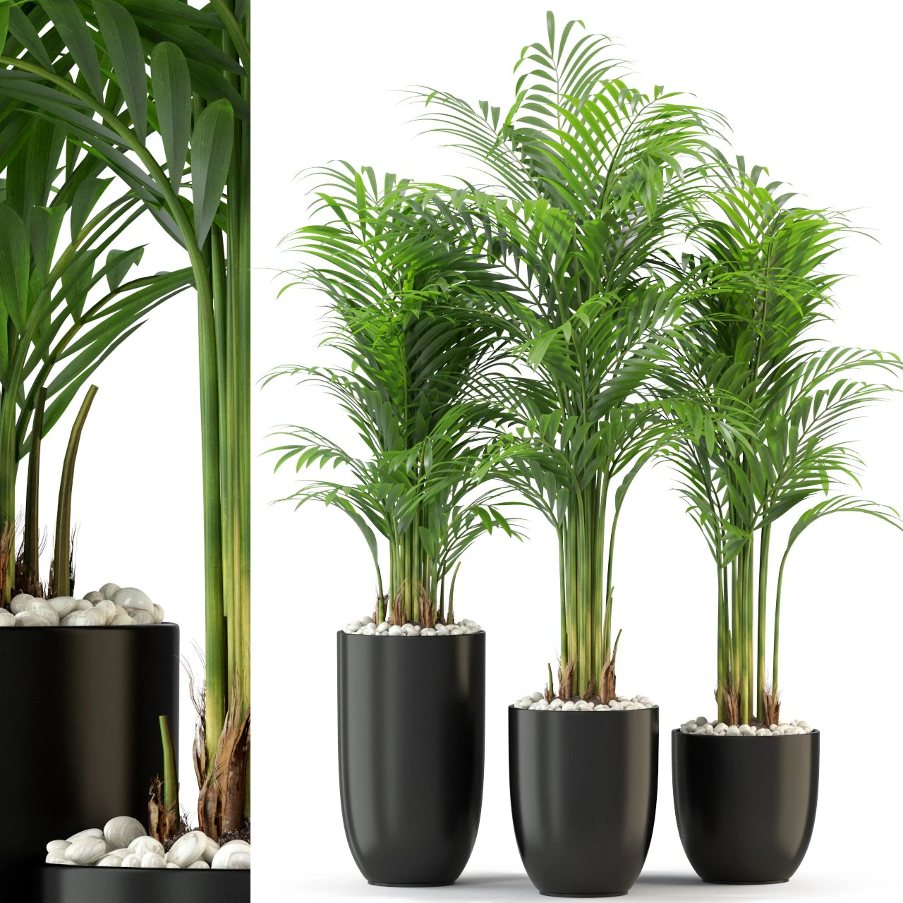 Plants collection 333 3D Model .c4d .max .obj .3ds .fbx .stl .blend 