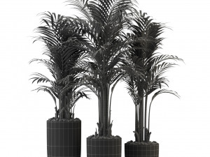 Plants collection 333 3D-Modell