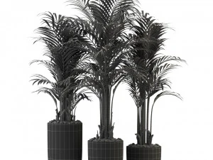 Plants collection 333 3D Model