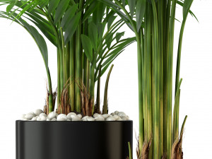 Plants collection 333 3D-Modell