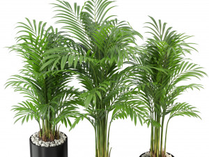 Plants collection 333 3D-Modell