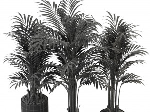 Plants collection 333 3D-Modell
