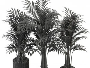 Plants collection 333 3D Model