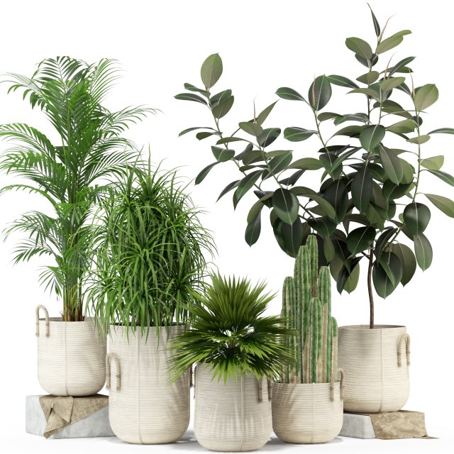 Plants collection 334 3D-Modell .c4d .max .obj .3ds .fbx .stl .blend 