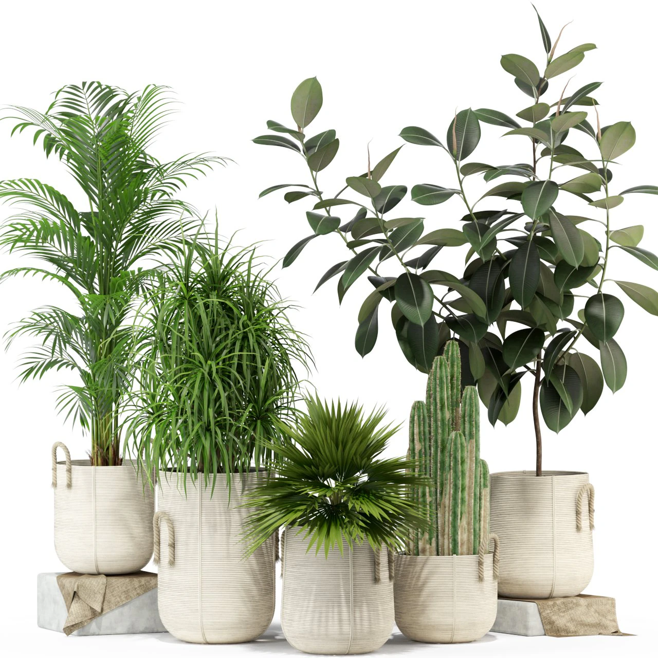 Colecci&oacute;n de plantas 334 Modelo 3D .c4d .max .obj .3ds .fbx .stl .blend 