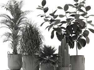 Plants collection 334 3D-Modell