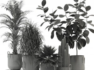 Colecci&oacute;n de plantas 334 Modelo 3D