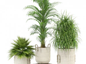 Colecci&oacute;n de plantas 334 Modelo 3D