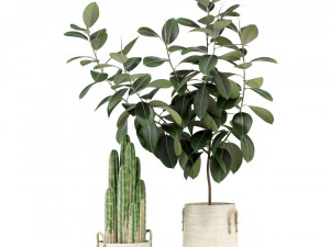 Colecci&oacute;n de plantas 334 Modelo 3D