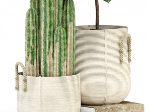 Colecci&oacute;n de plantas 334 Modelo 3D