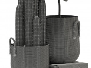 Plants collection 334 3D-Modell