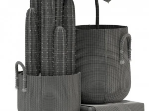 Colecci&oacute;n de plantas 334 Modelo 3D