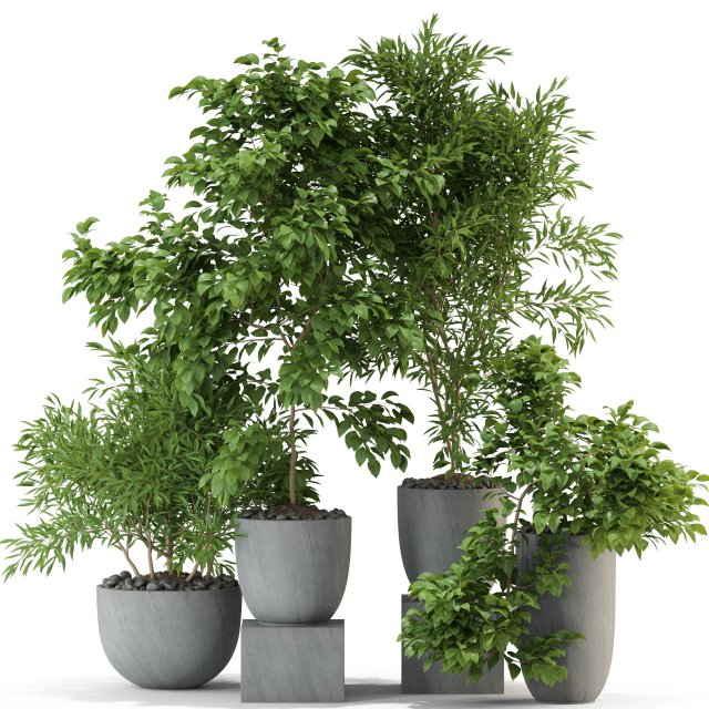 Plants collection 335 3D-Modell .c4d .max .obj .3ds .fbx .stl .blend 