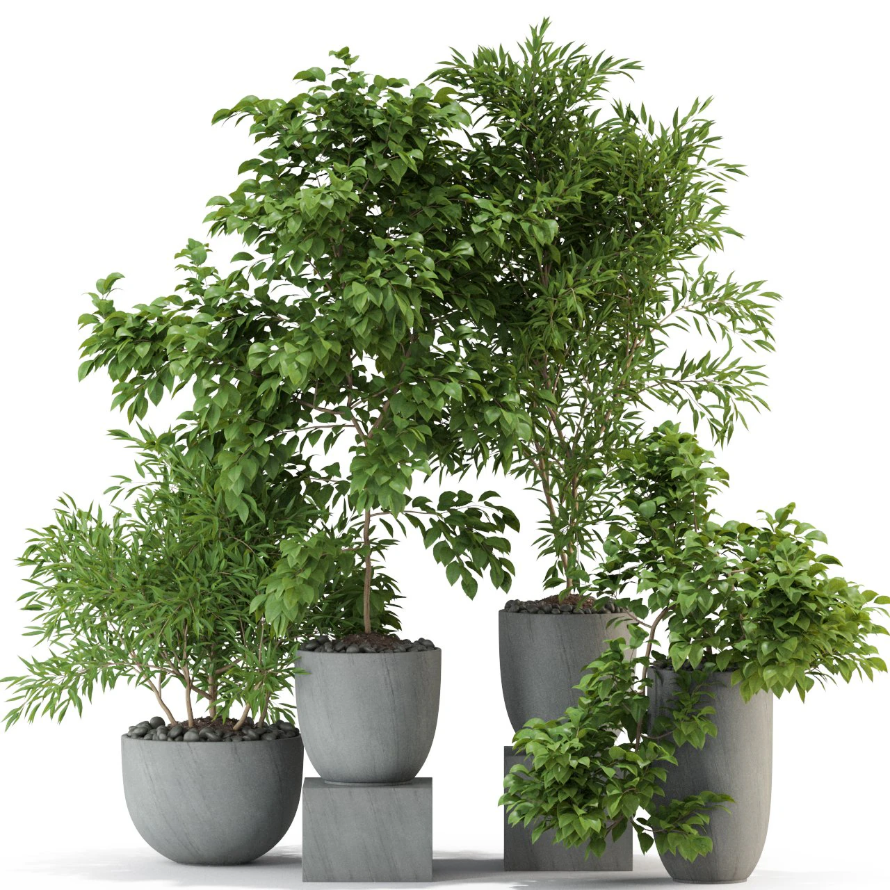 Plants collection 335 3D Model .c4d .max .obj .3ds .fbx .stl .blend