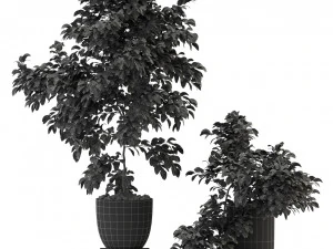 Plants collection 335 3D Model