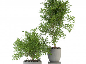 Plants collection 335 3D-Modell