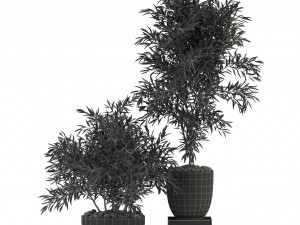 Plants collection 335 3D-Modell