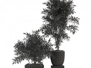 Plants collection 335 3D Model