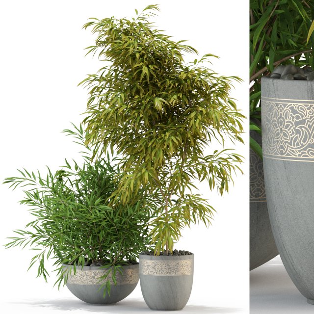 Plants collection 336 3D-Modell .c4d .max .obj .3ds .fbx .stl .blend 