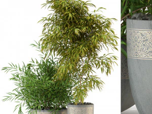 Cole&ccedil;&atilde;o de plantas 336 Modelo 3D