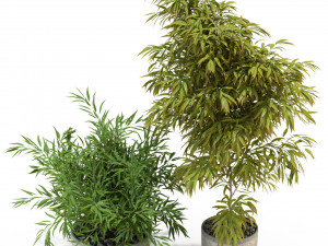 Plants collection 336 3D-Modell