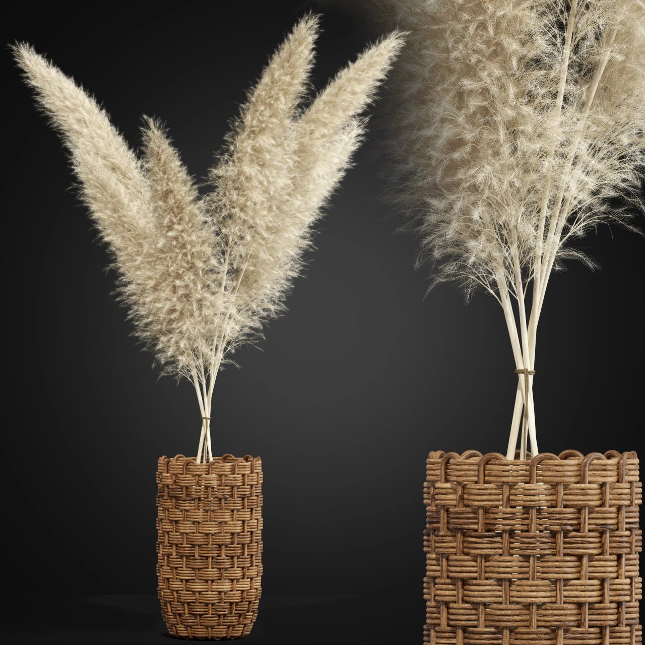 Plants collection 337 3D Model .c4d .max .obj .3ds .fbx .stl .blend 