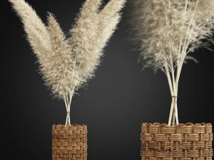 Colección de plantas 337 Modelo 3D