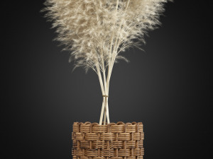 Plants collection 337 3D 模型