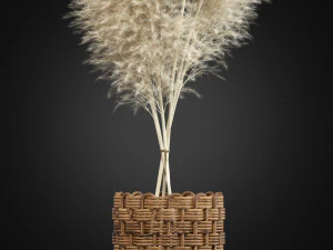 Plants collection 337 3D Model